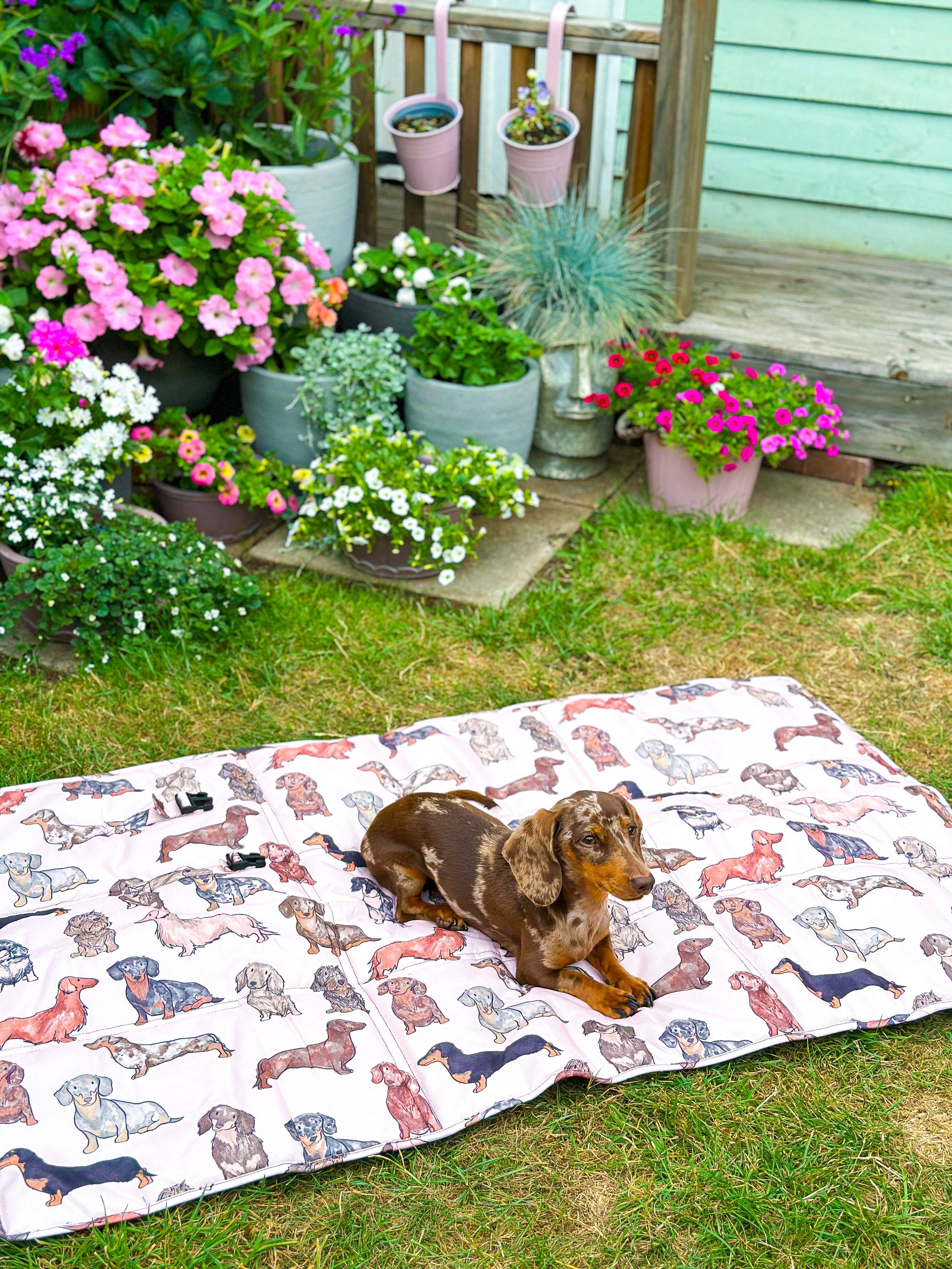 Dog Carrier